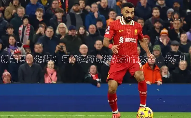 人人体育app直播下载阿里尔公司