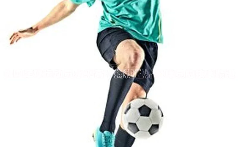 人人体育app安卓版中文在线