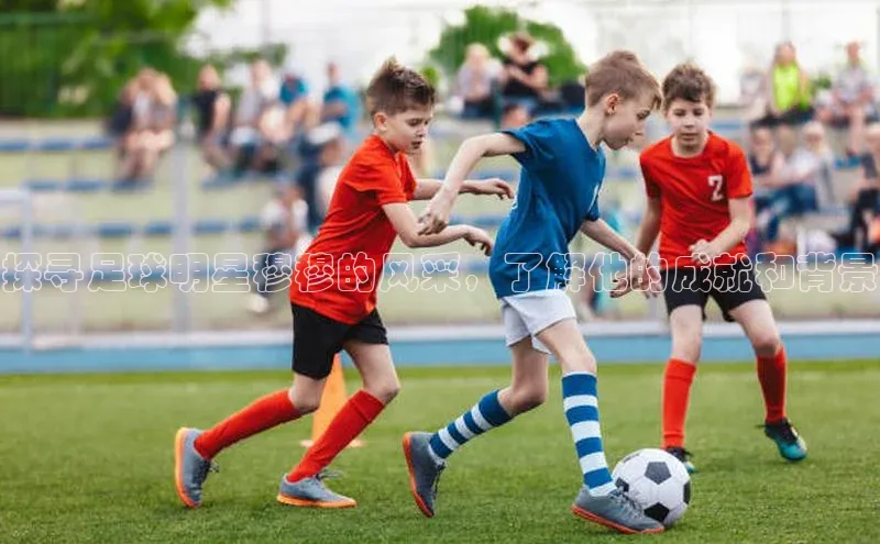 人人体育app官方版知乎