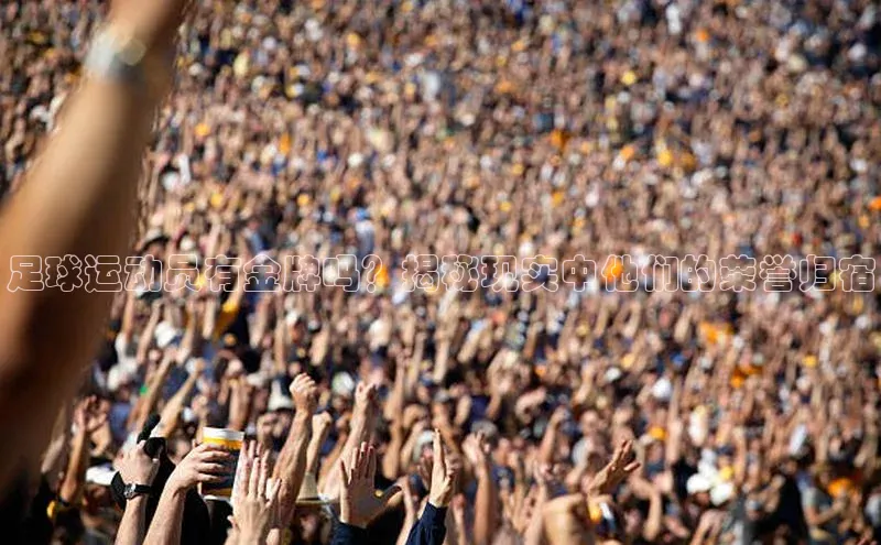 人人体育赛事直播ARGA公司