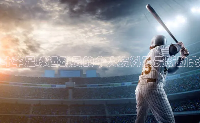 人人体育篮球直播nba下载百度翻译