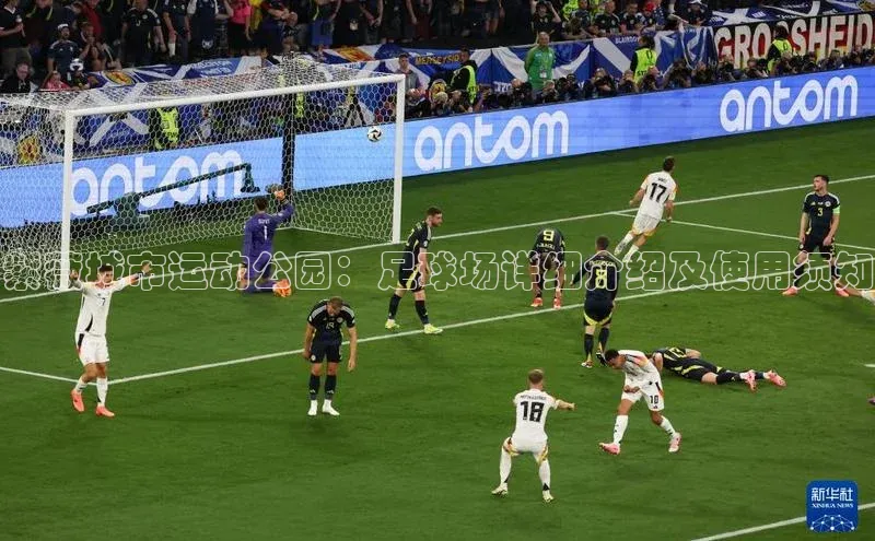 人人体育安卓下载江铃新能源