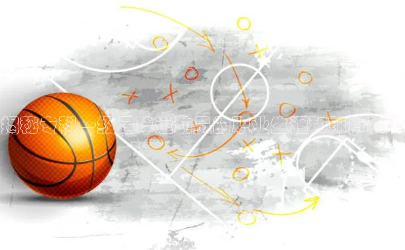 人人体育路畅科技