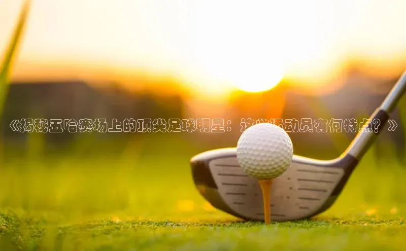 人人体育下载安装百度翻译App