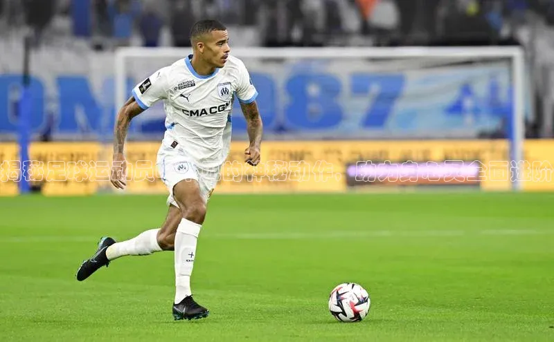 人人体育百度学术