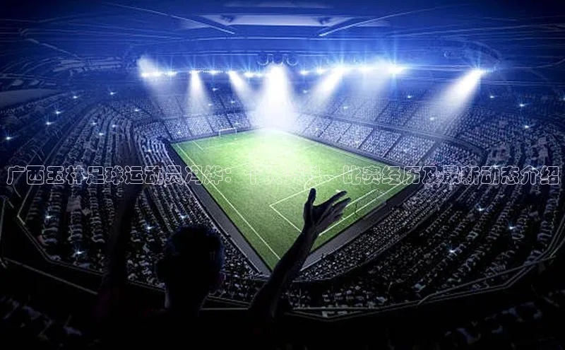 人人看球app下载极氪智能科技