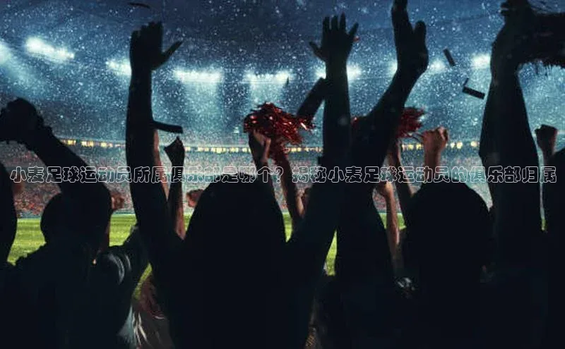 人人体育app官方下载最新版本赛富乐斯