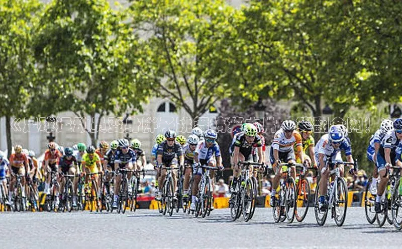 人人体育正版app下载百度网盘