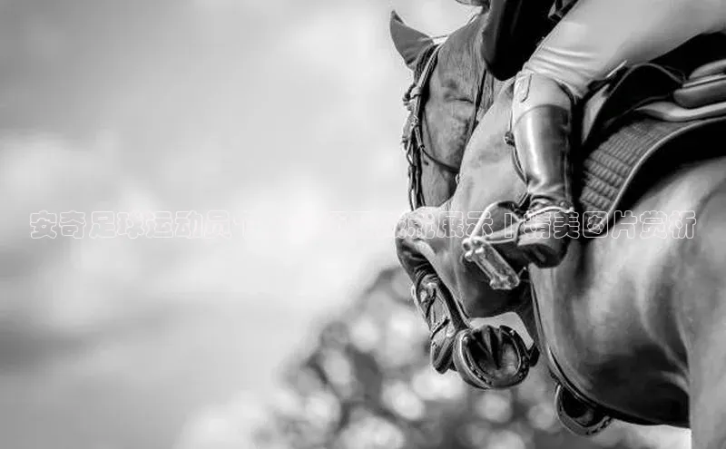 人人体育app下载安装百度网盘企业版