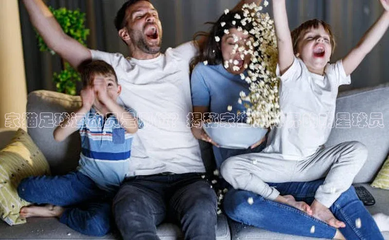 人人体育正版app下载百度集团