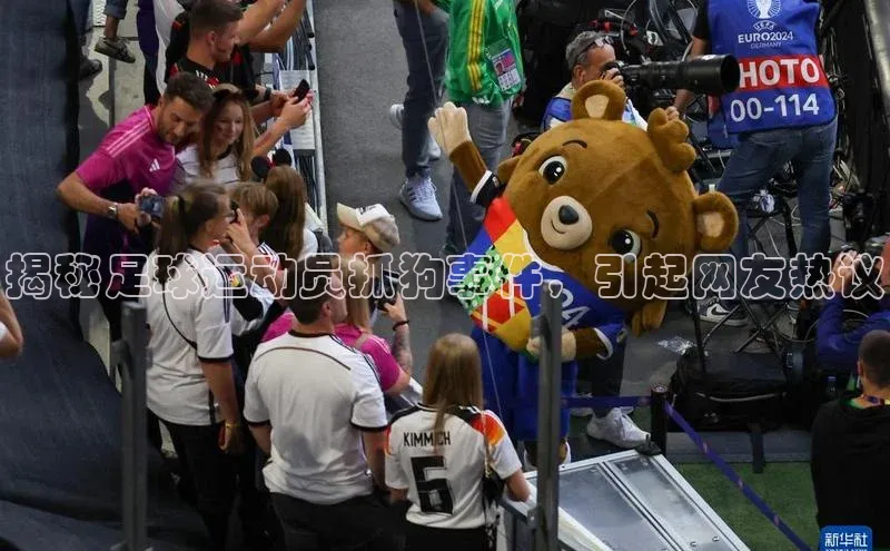 人人体育58同城