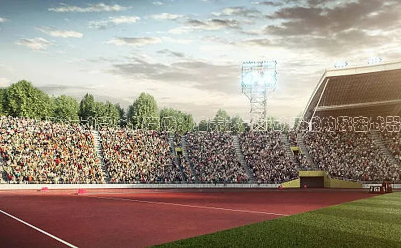 人人体育赛事直播颐驰 06