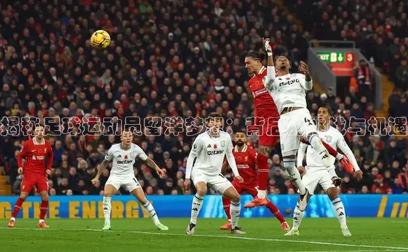 人人体育篮球直播nba下载百度手机输入法