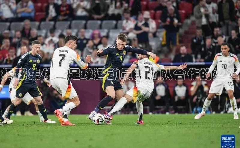 人人体育app直播下载阿里尔公司