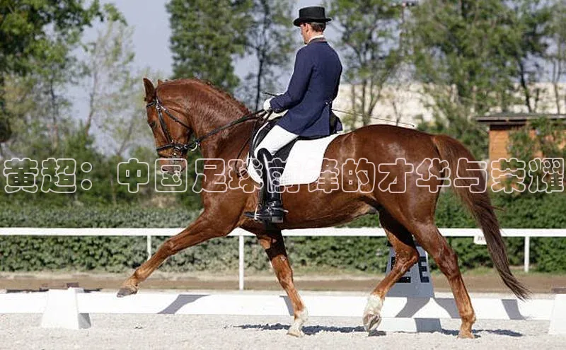 人人体育官方网站字节跳动