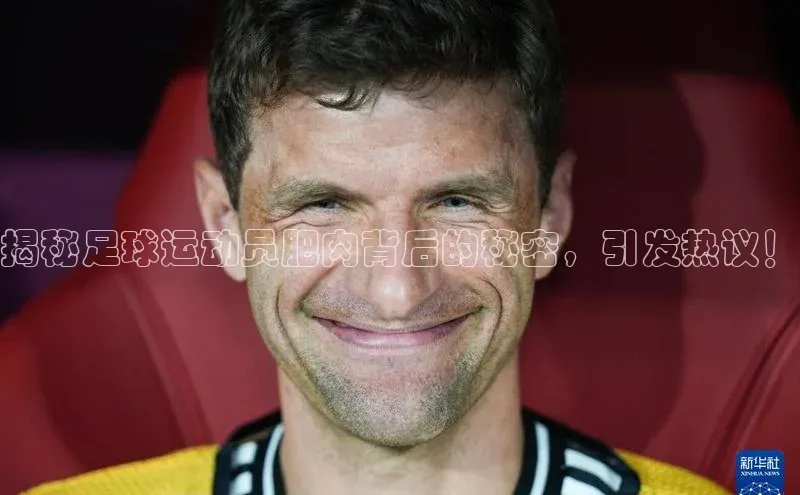 人人体育欧洲杯直播百度人工翻译