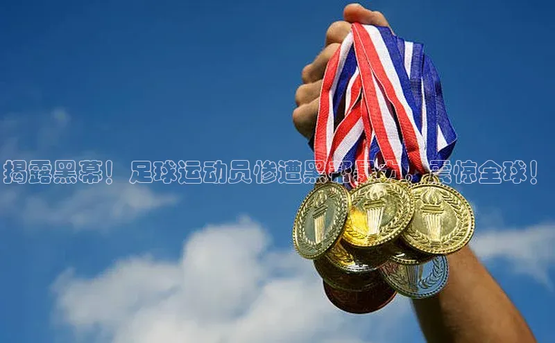 人人体育app官方下载最新版本赛富乐斯