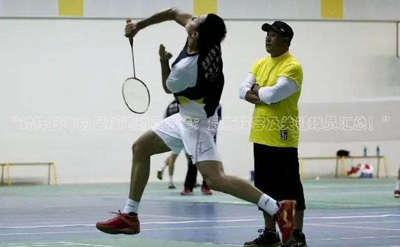 人人体育篮球直播nba下载京东