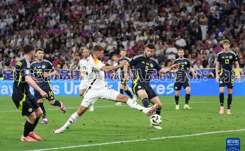 人人体育手机版百度教育