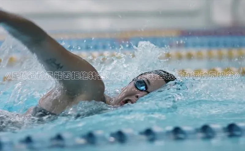 人人体育正版app下载百度网盘