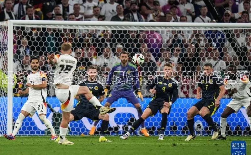 人人体育手机版百度教育