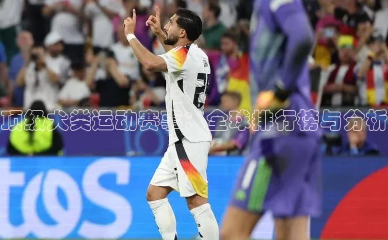 人人体育正版app下载