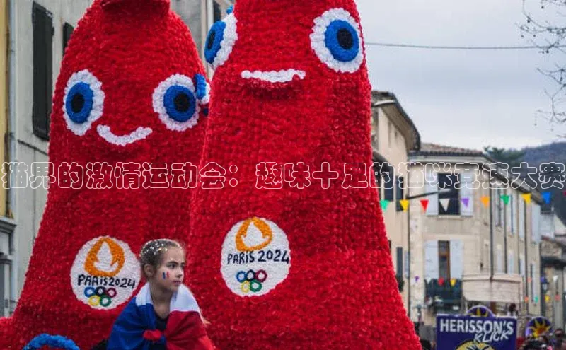 人人体育直播篮球