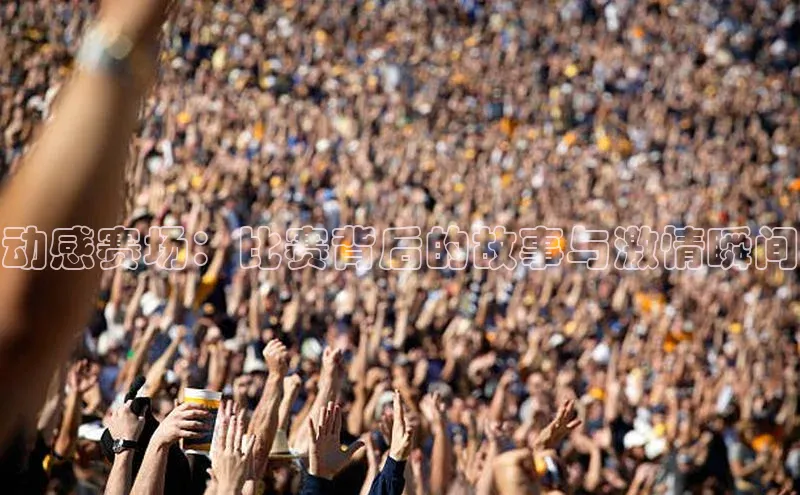 人人体育app官方下载ios