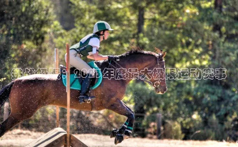 人人体育app下载安装