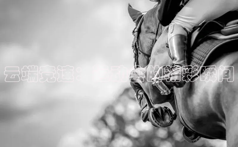 人人体育app官方版