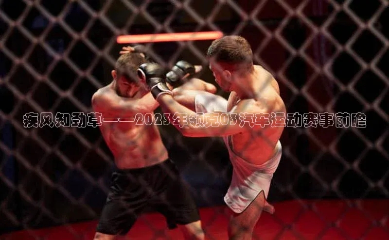 人人体育app安卓版