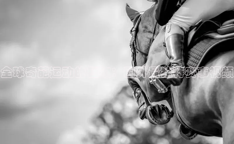 人人体育app下载安装