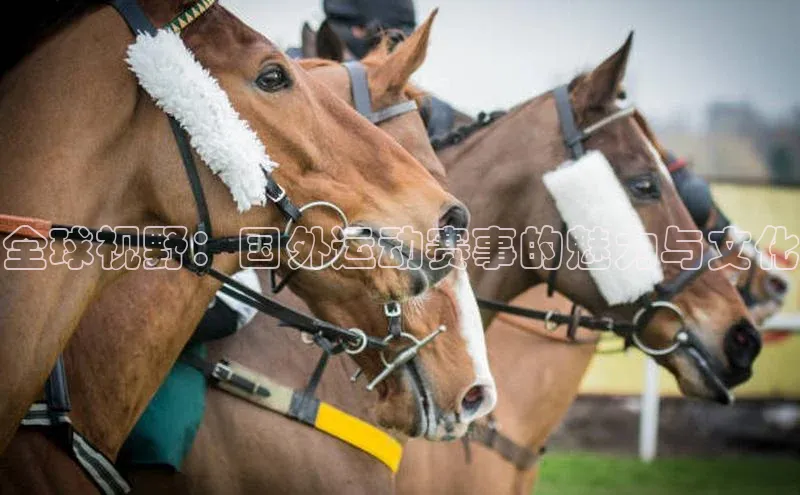 人人体育app下载安装