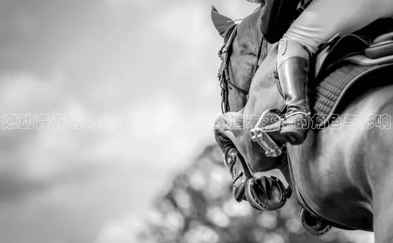 人人体育app官方版