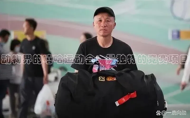 人人体育nba